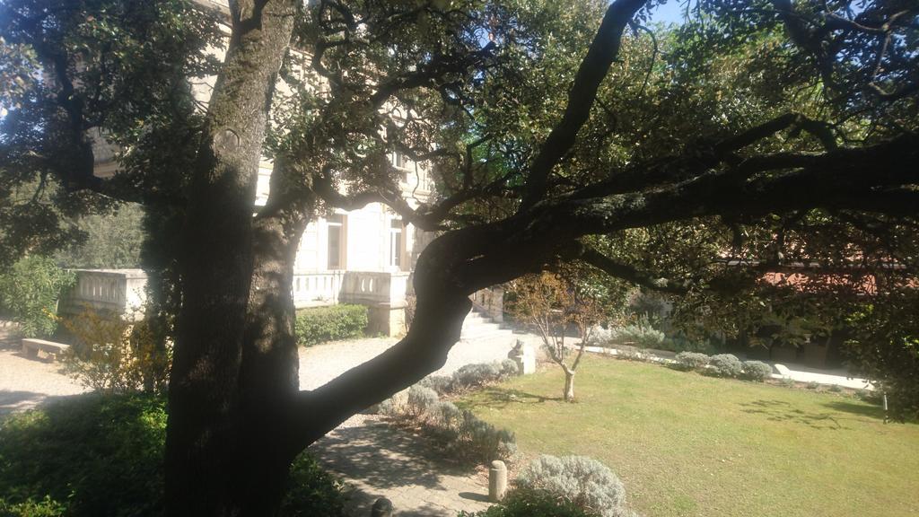 Villeneuve-lès-Avignon Logis Hotel - Restaurant Residence Les Cedres מראה חיצוני תמונה